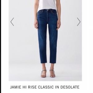 Agolde Jamie High Rise Jeans: Button Fly Raw Hem
